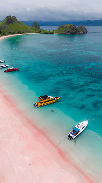istock Hi From Crystal Blue Oceanic Paradise! 2236087944