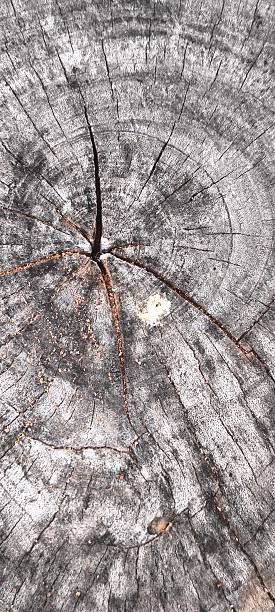 istock Old wood texture for background. Natural old wood texture. 2236089705