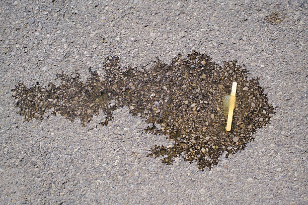 Concrete wall with stones, the Foundation of a house in the crack which stuck a yellow dandelion