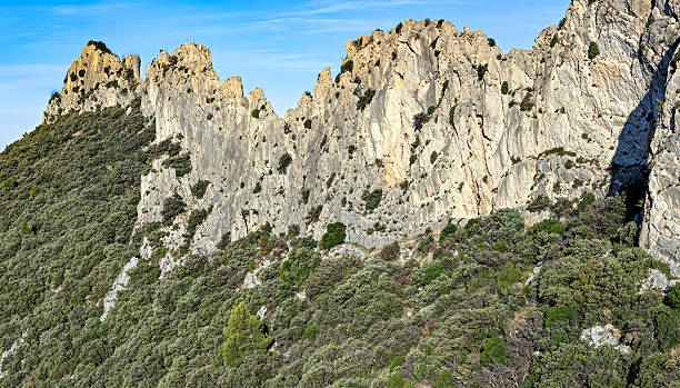 istock Dentelles de Montmirail , France 2236093329