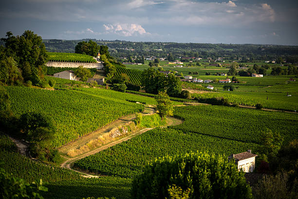 istock Bordeaux Wine Region 2236096728
