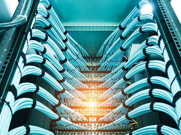 Neatly Organized Network Cables in Data Center Rack with Blue Sheathing