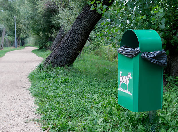 Green dog waste trash bin with black bags on walking path in public park, symbol of cleanliness, responsibility and urban environment.