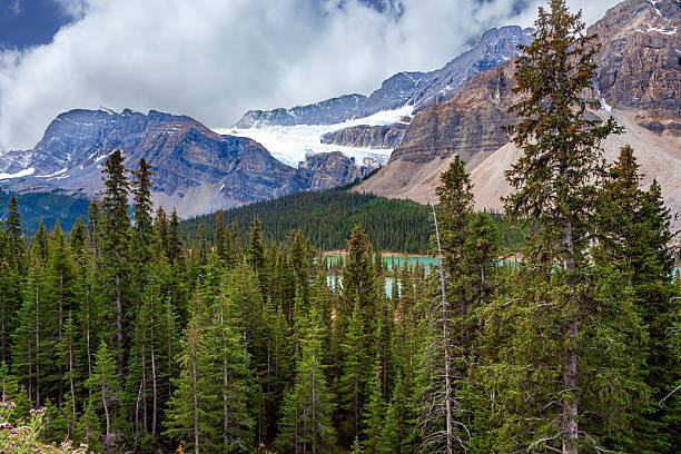 Icefield Parkway Lookout