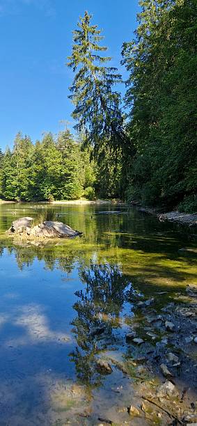 istock Lake Taubensee in forest - Ruhpolding 2236113018