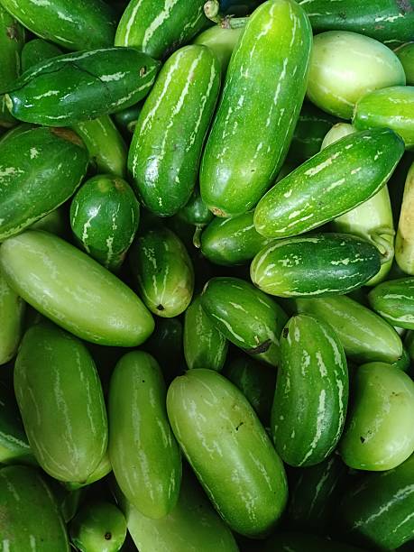 istock Ivy Gourd  fruit, Coccinia grandis fruit. 2236115891