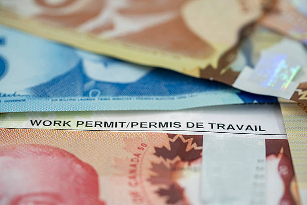 istock Close up of Canadian work permit document with dollar banknotes. 2236116953