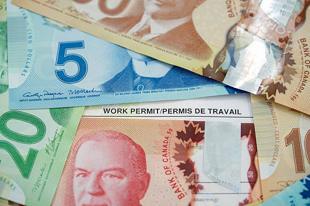 istock Close up of Canadian work permit document with dollar banknotes. 2236117009