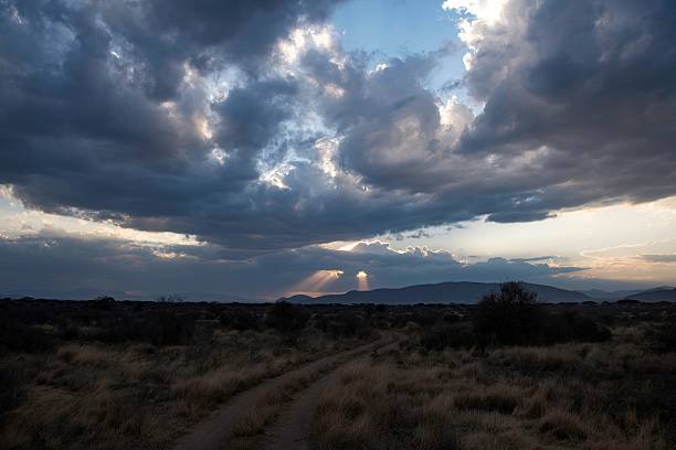 istock African savannah sunset with cloud sky 2236117769