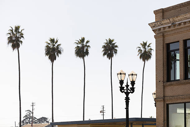 istock Historic Downtown Selma California 2236121012