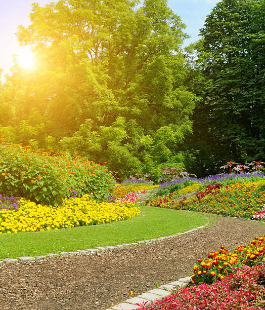 istock Colorful flower beds and lush trees in a park 2236130346