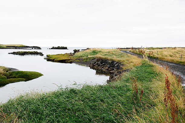 istock Pathway Along Coastal Landscape with Grass and Rocks in Iceland's Countryside 2236130573