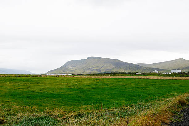 Lush green meadow with background mountains in rural Iceland under cloudy atmospheric light.