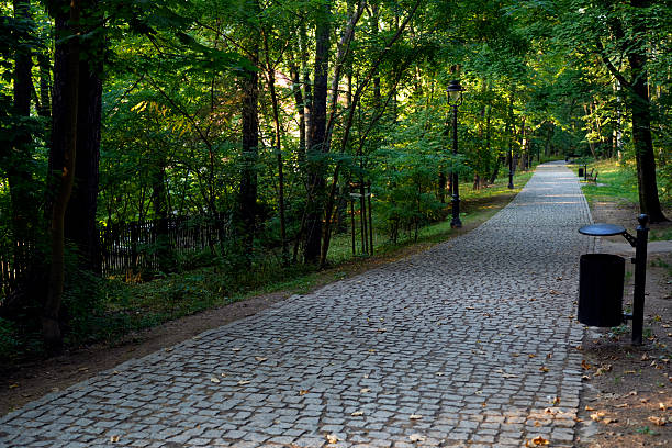 Peaceful stone paved walkway through a green park, surrounded by trees, benches, and lampposts.