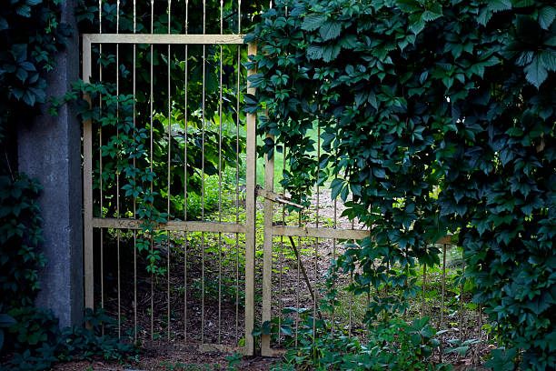 Wrought iron garden gate with PRIVATE sign, surrounded by hedges, flowers, and gravel path. Idyllic private garden atmosphere. Copyspace.