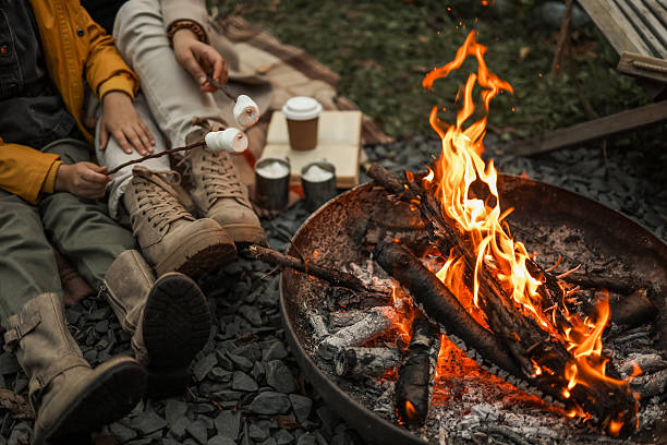 istock Cozy campfire scene with marshmallows roasting over the flames 2236132775