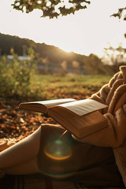 istock Reading a book outdoors on a sunny autumn day 2236132784