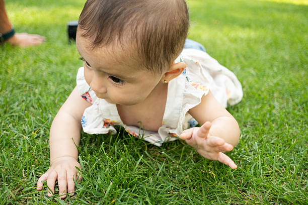 baby crawling and playing on the grass in a park