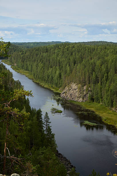 istock A breathtaking scenic river flows through a lush forest landscape teeming with life 2236134832