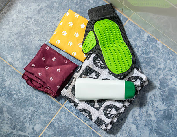 istock dog bath accessories mockup 2236136261