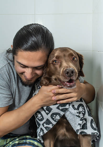 istock Affectionate dog and its owner at home before taking a bath. Friends forever. Dog bath 2236136280