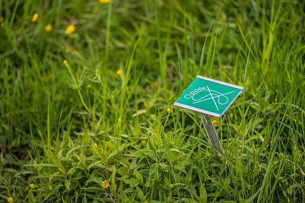 Green no stepping sign placed in grass.