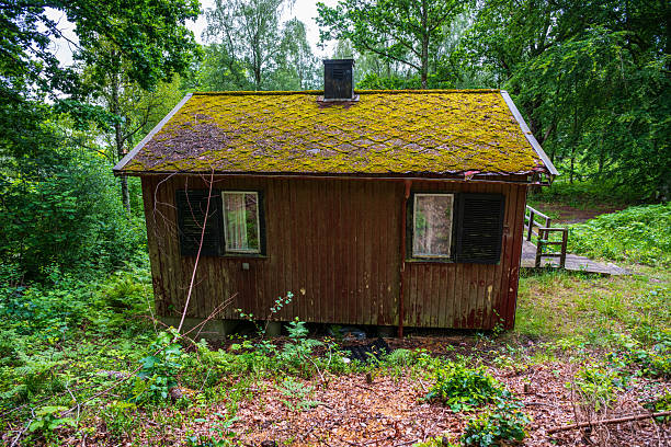 Old forest cabin with mossy roof and shuttered windows.