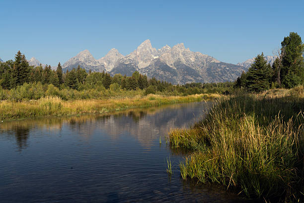 an image taken at Schwabacher Landing in the Grand Tetons in Wyoming with reflections in the water and mountains and trees