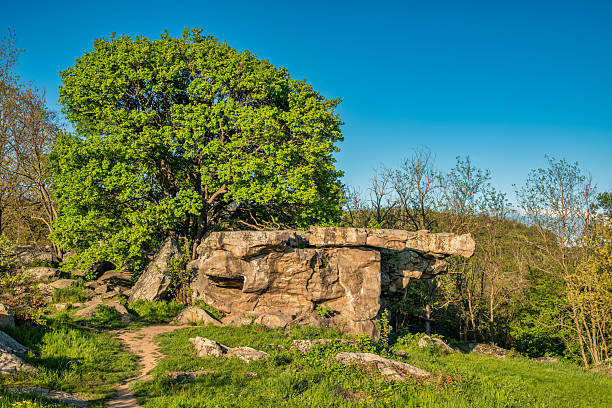 A striking rock formation stands prominently beside a lush green tree on a sunny spring day. The bright blue sky and vivid greenery create a vibrant contrast, highlighting the unique shapes of the stone and the natural beauty of the landscape.