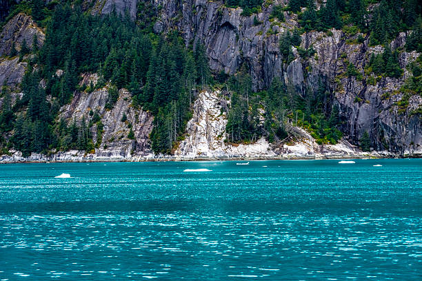 The North Sawyer Glacier in Tracy Arm. On August 10, 2025 a massive landslide took place which generated seismic waves and caused considerable damage to the shore and forest. It is considered the largest landslide and tsunami in the region in years.