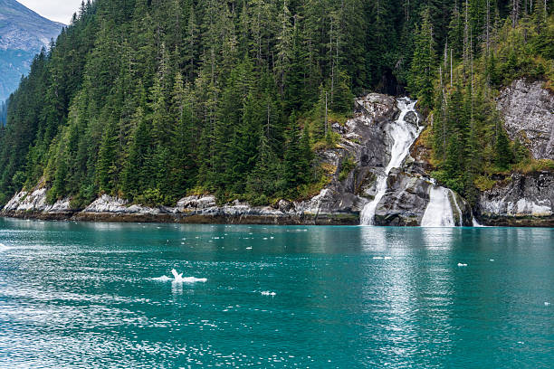 istock Alaska Glaciers and Glacier Pools 2236147810