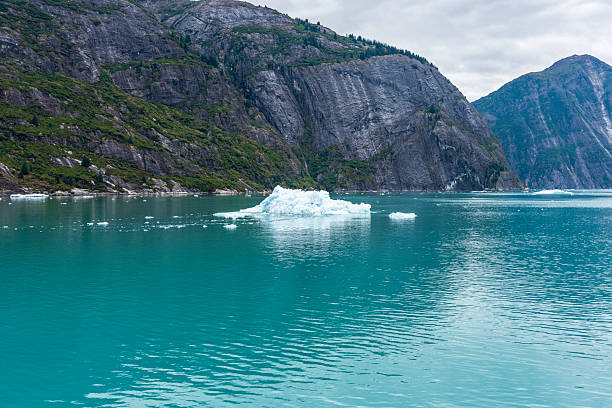 The North Sawyer Glacier in Tracy Arm. On August 10, 2025 a massive landslide took place which generated seismic waves and caused considerable damage to the shore and forest. It is considered the largest landslide and tsunami in the region in years.