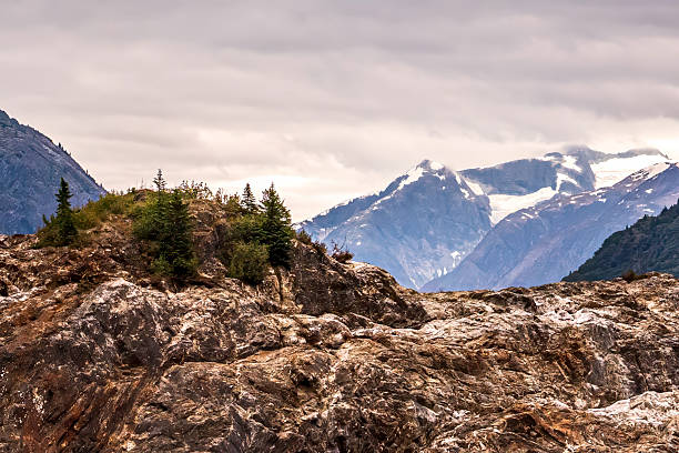 The North Sawyer Glacier in Tracy Arm. On August 10, 2025 a massive landslide took place which generated seismic waves and caused considerable damage to the shore and forest. It is considered the largest landslide and tsunami in the region in years.