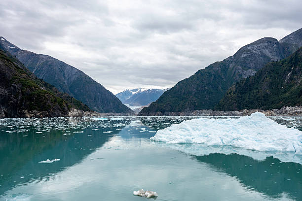 The North Sawyer Glacier in Tracy Arm. On August 10, 2025 a massive landslide took place which generated seismic waves and caused considerable damage to the shore and forest. It is considered the largest landslide and tsunami in the region in years.