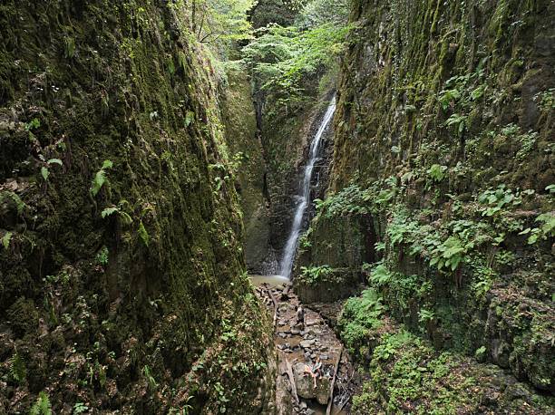 Flow of water from natural mountain springs