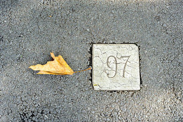 A dry leaf next to a concrete square with the number 97 on asphalt.