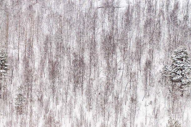 istock Winter landscape in Norway 2236154568