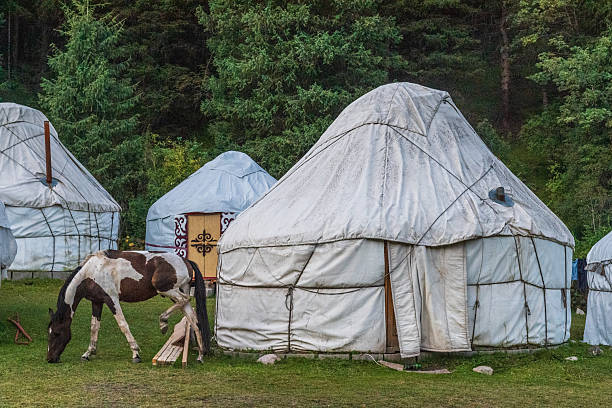 istock At the ecotrek Yurt Camp 2236154663