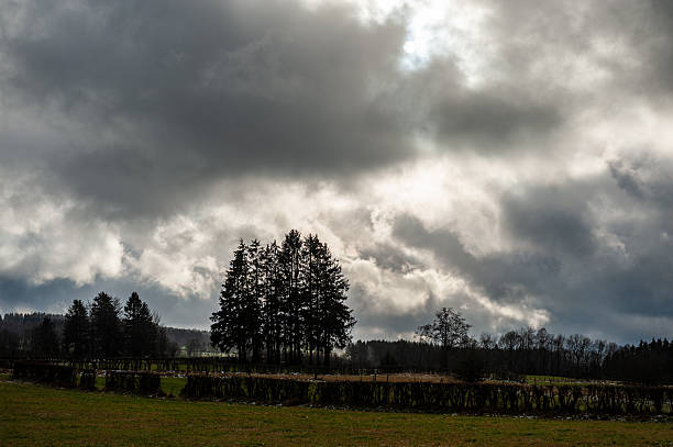 Exterior scene from the forest near the belgian town of Mont, close to Malmedy, in the Ardennes