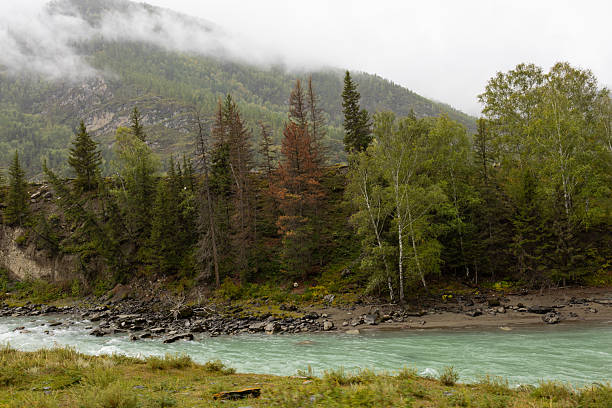 istock A serene river flows through a valley surrounded by mountains, the Altai mountain landscape is characterized by lush greenery along the river banks and arid fields. 2236165206