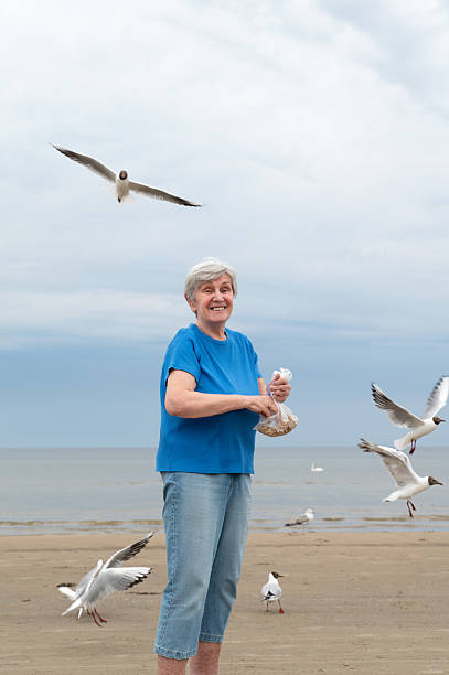 istock Smiling Elderly Woman Feeding Seagulls on the Beach. 2236169170