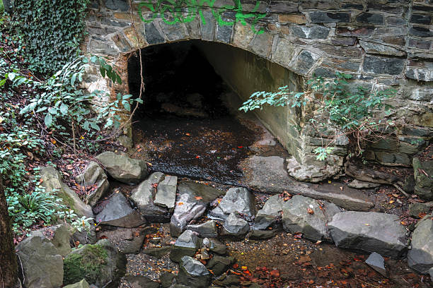 istock A tunnel under a bridge in a wilderness area. 2236172650