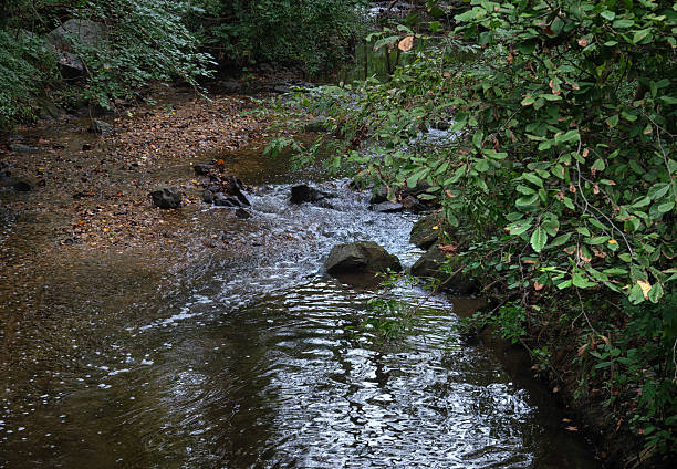 istock A small creek wanders through a park on an overcast day 2236172651