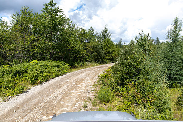 A dirt path meanders through a dense, green forest filled with trees and foliage under a partly cloudy sky. This serene landscape exudes tranquility and adventure, ideal for nature and exploration enthusiasts.