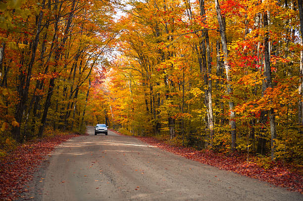 istock Car Driving on Autumn winding Road with Fall Colors Through Forest 2236175519