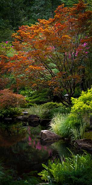istock Japanese Garden Early Fall 2236176630