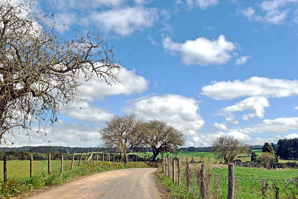 istock Santa Catarina farm scenery 2236177060