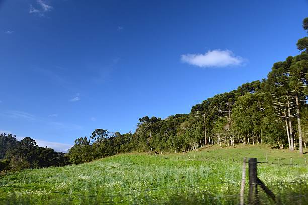 istock Santa Catarina farm scenery 2236177354