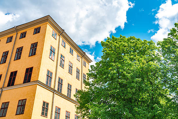 Stockholm building casting shadows on a sunny day with lush green tree