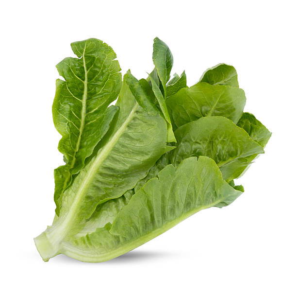istock Fresh green cos lettuce isolated on white background 2236177745